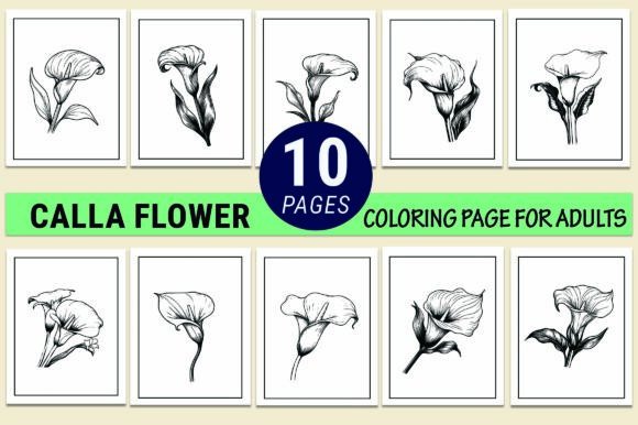 Calla Flower Coloring Pages for Kids